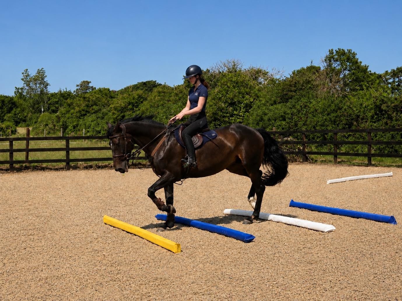 ProHorseJumps gallery — Soft poles — flatwork